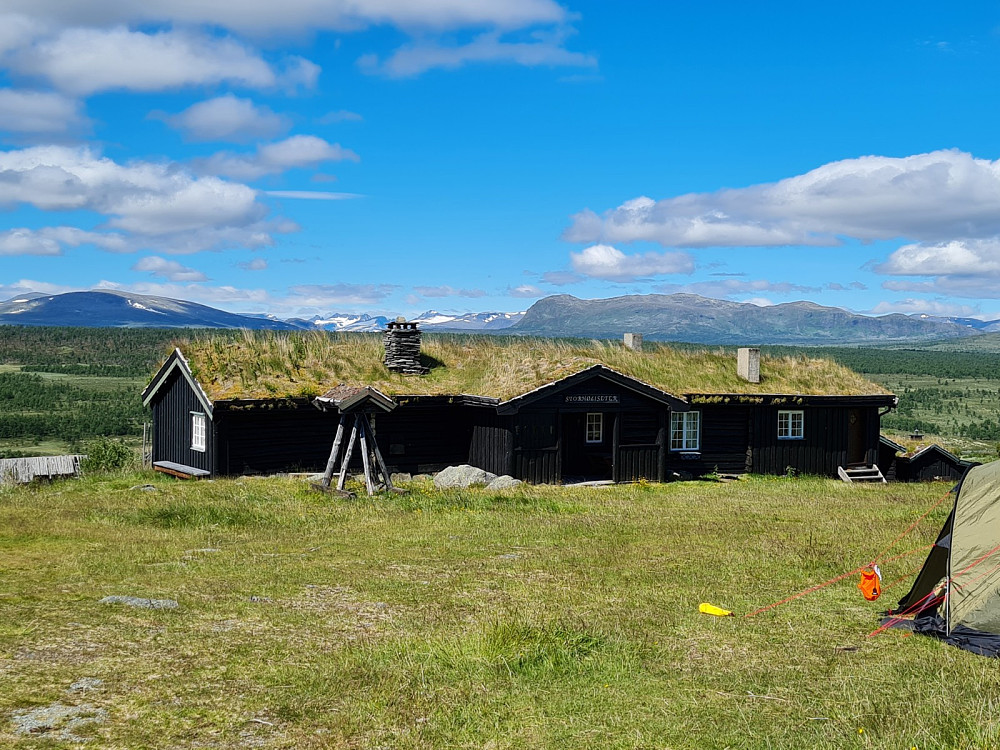 Storhøliseter