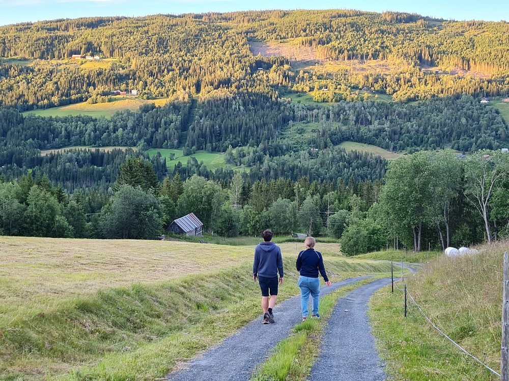 Utsikt gra Hakkerud
