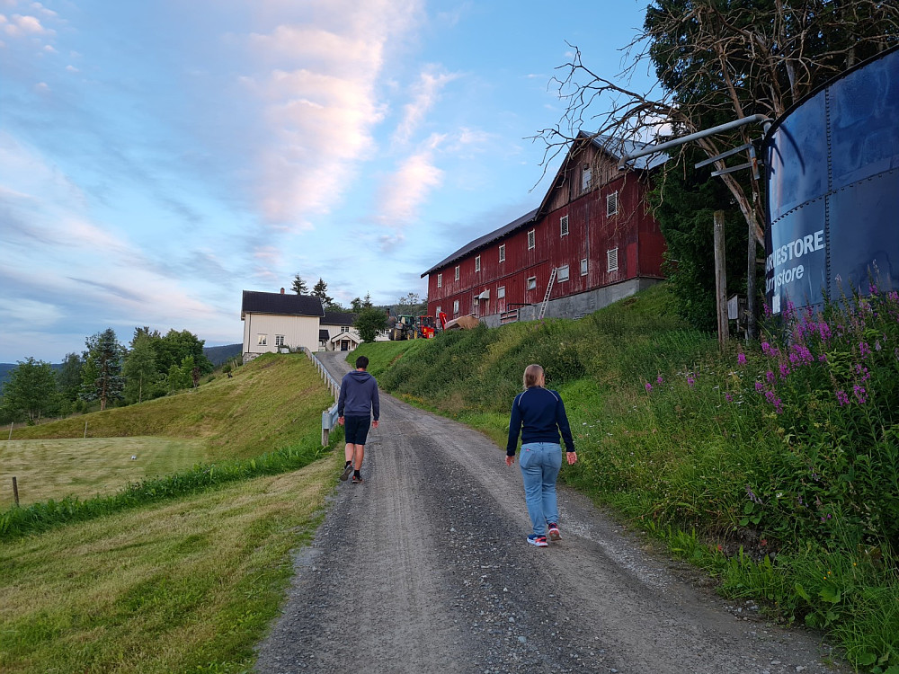 Nygaard