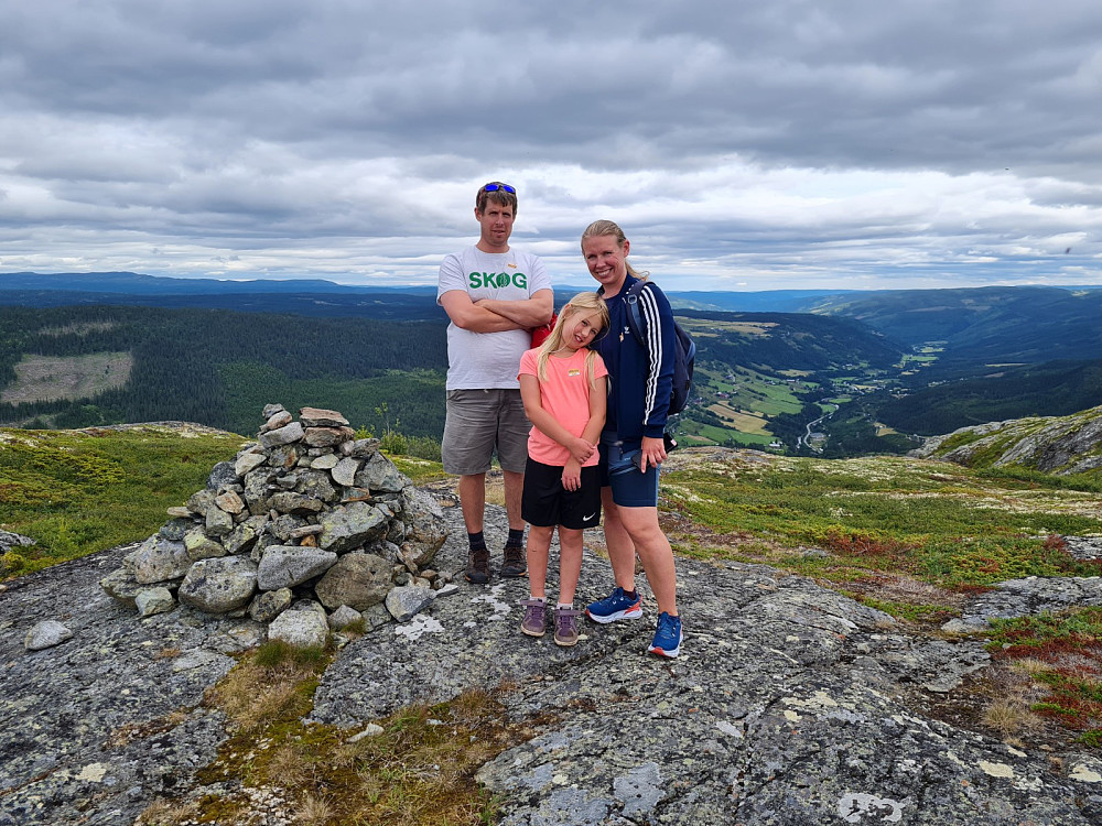 På høyeste Nesetrona