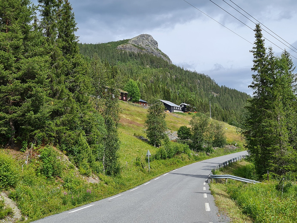 Erlanhusan og Nesetrona