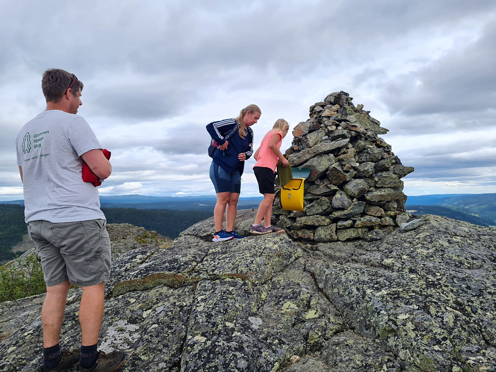 På Nesetrona