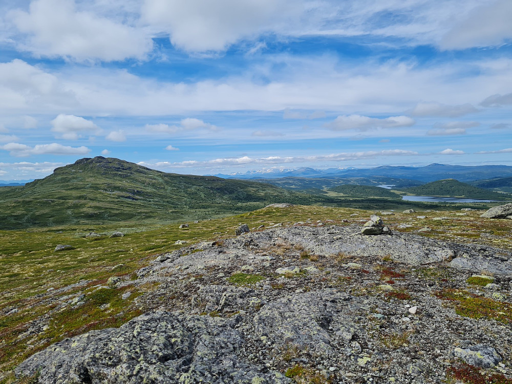 På Tørrisknattenes toppunkt