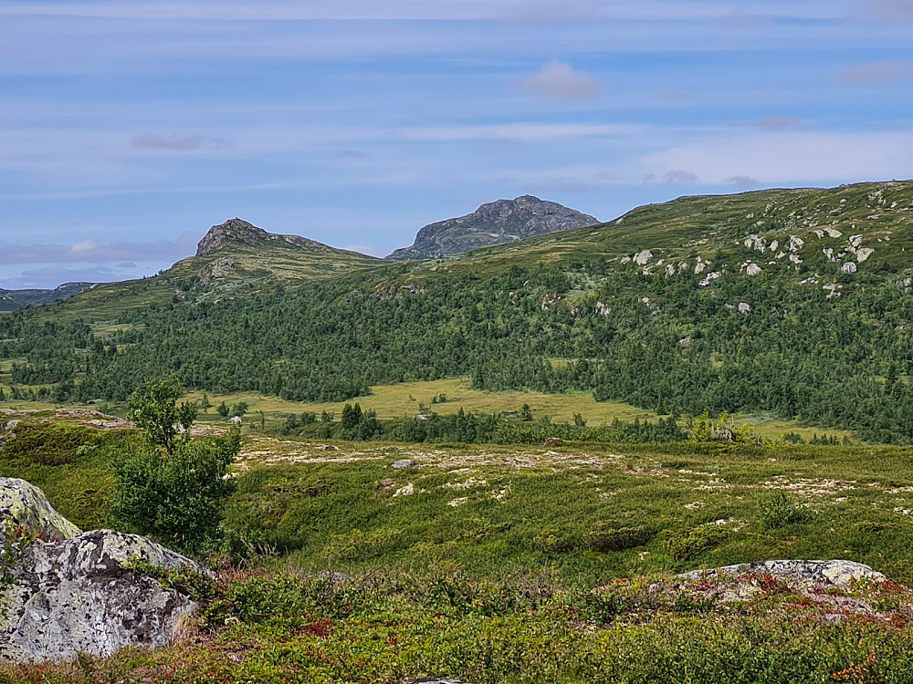 På Veslefjellet, mot Solskiva og Djuptjernskampen