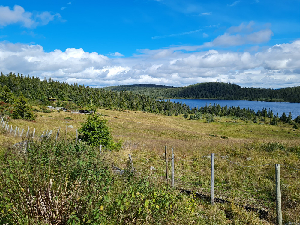 Fra Flugstadsetra, mot Kokslisetra og Skjelbreidshytta