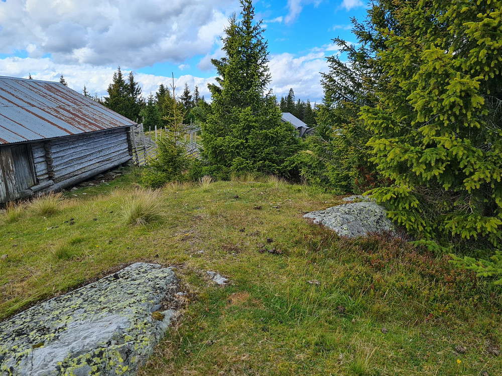 Rindåsen