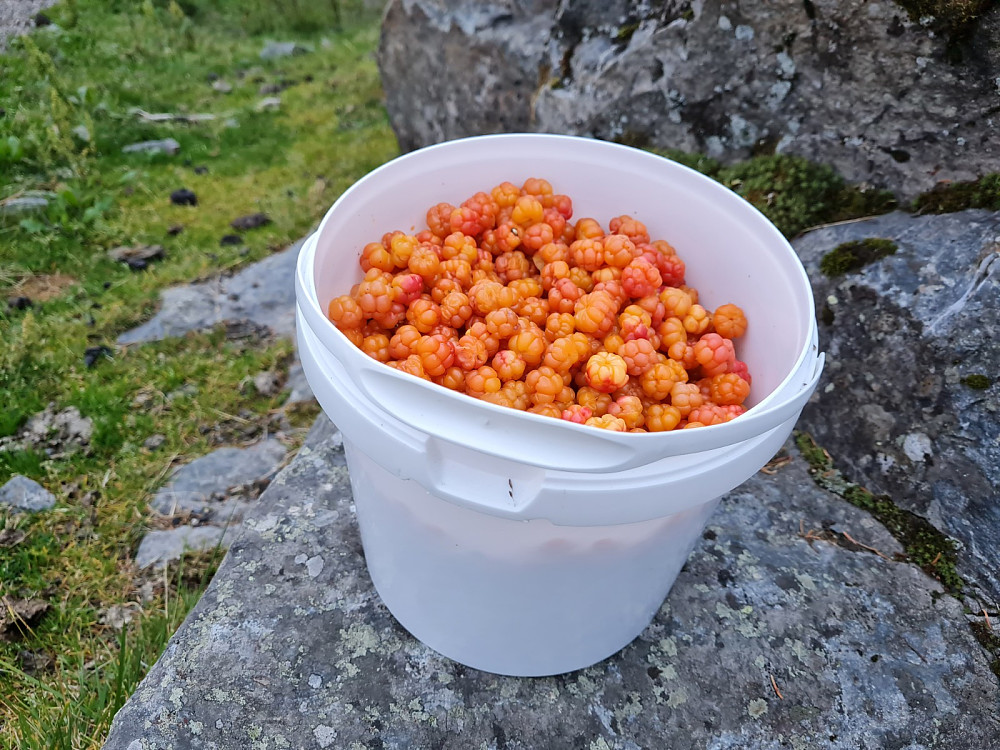 Dagens fangst, litt over 4 kg.