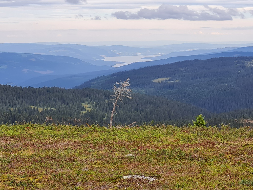 Utsikt mot Mjøsa