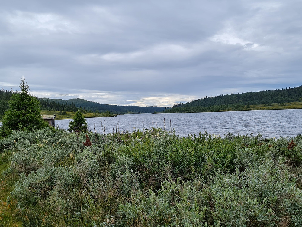Mjogsjøen