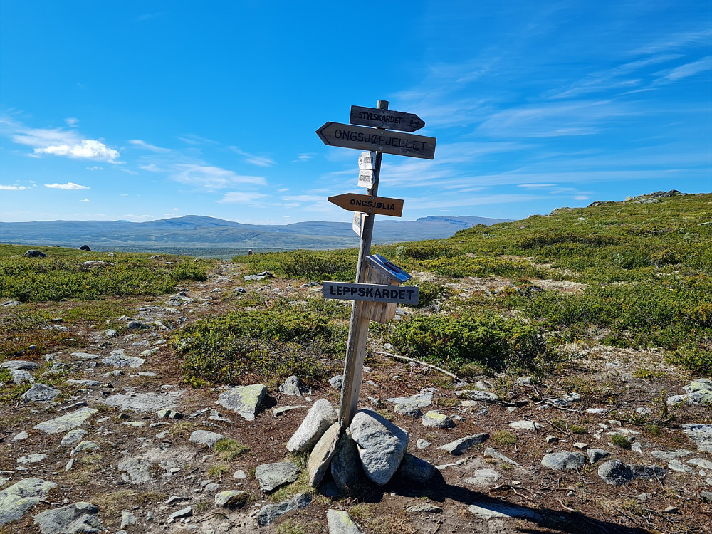 Leppskaret