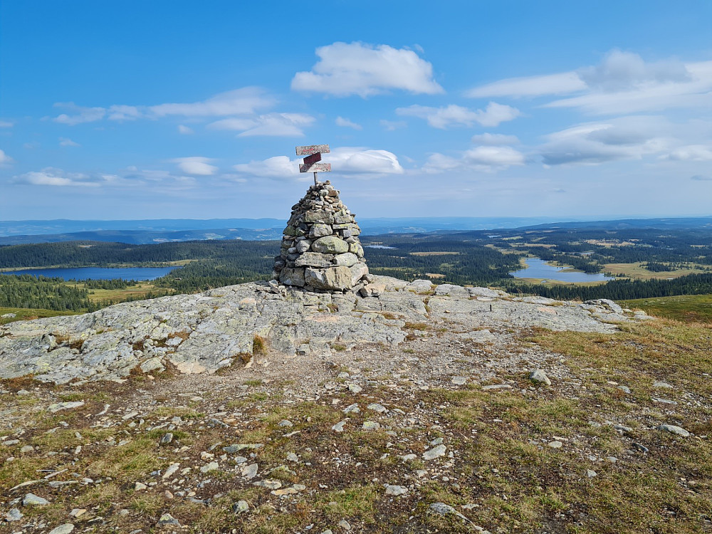 Prestkjerringa