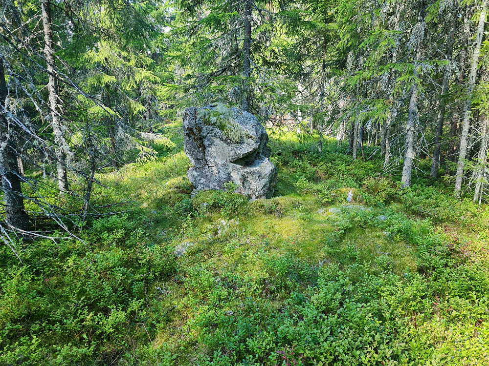 Torvmyra punkt 543