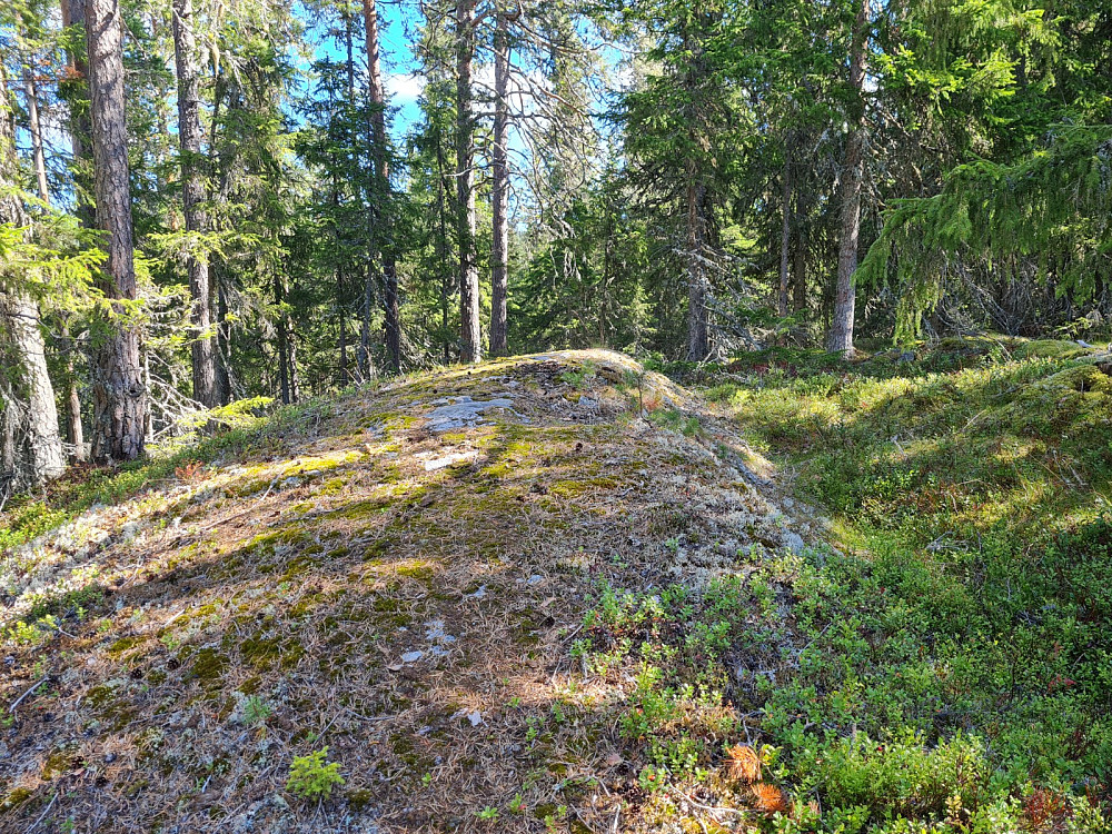 Rundhaugen