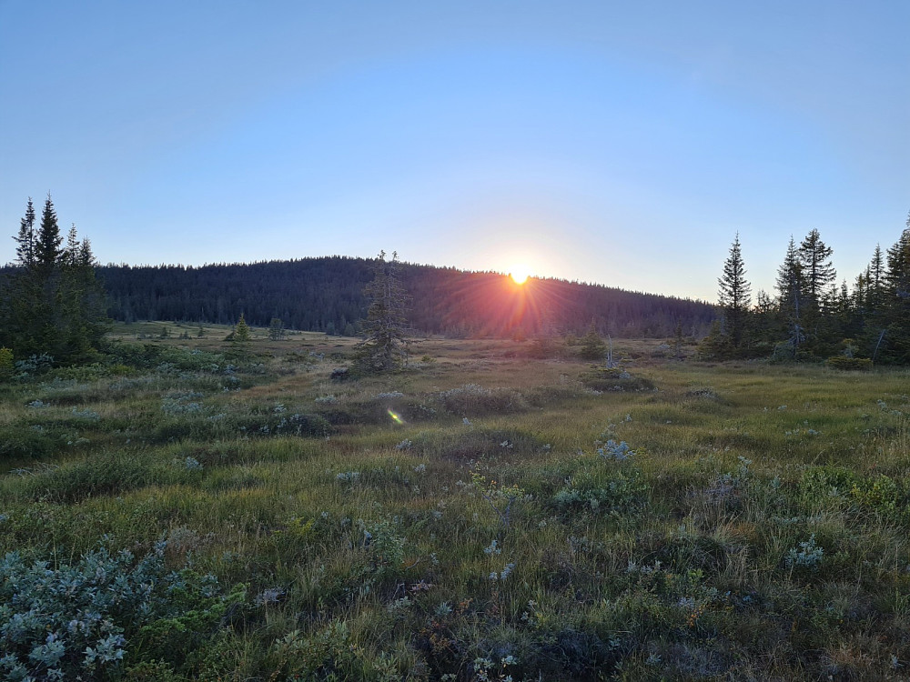 Solnedgang over Grøtåshaugen