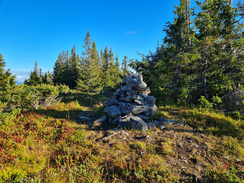 Grøtåshaugen