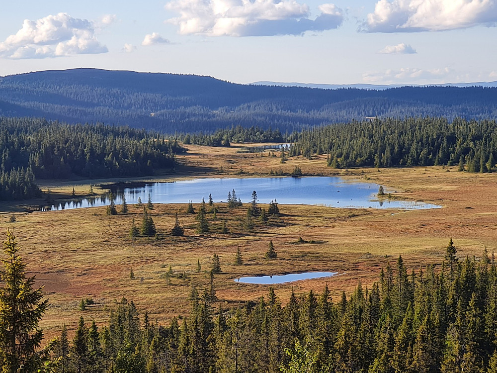 Utsikt fra Storhaugen, mot Erstjønnet og Hærfjellet