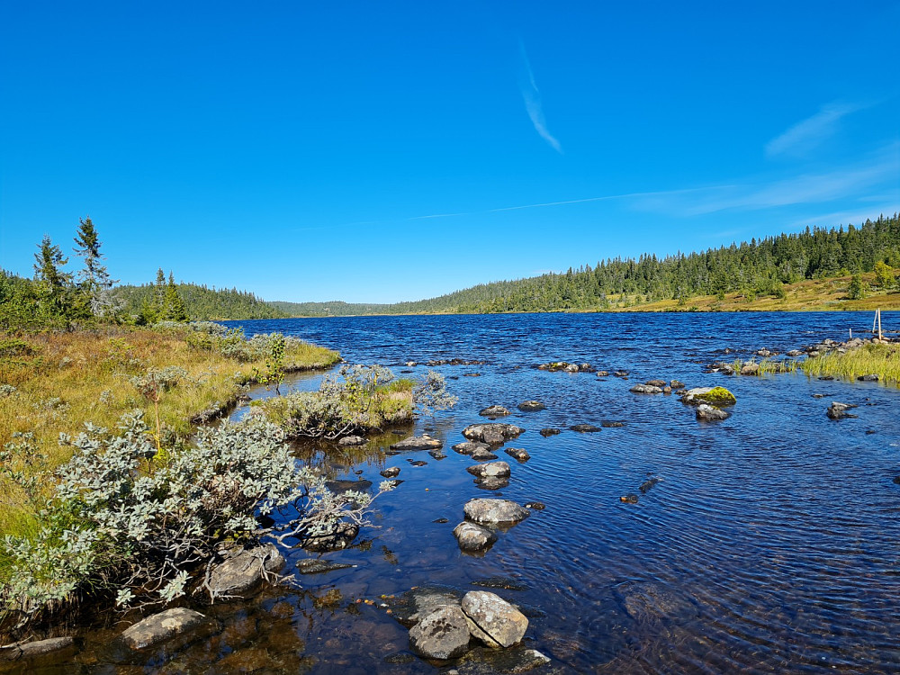 Mjogsjøosen
