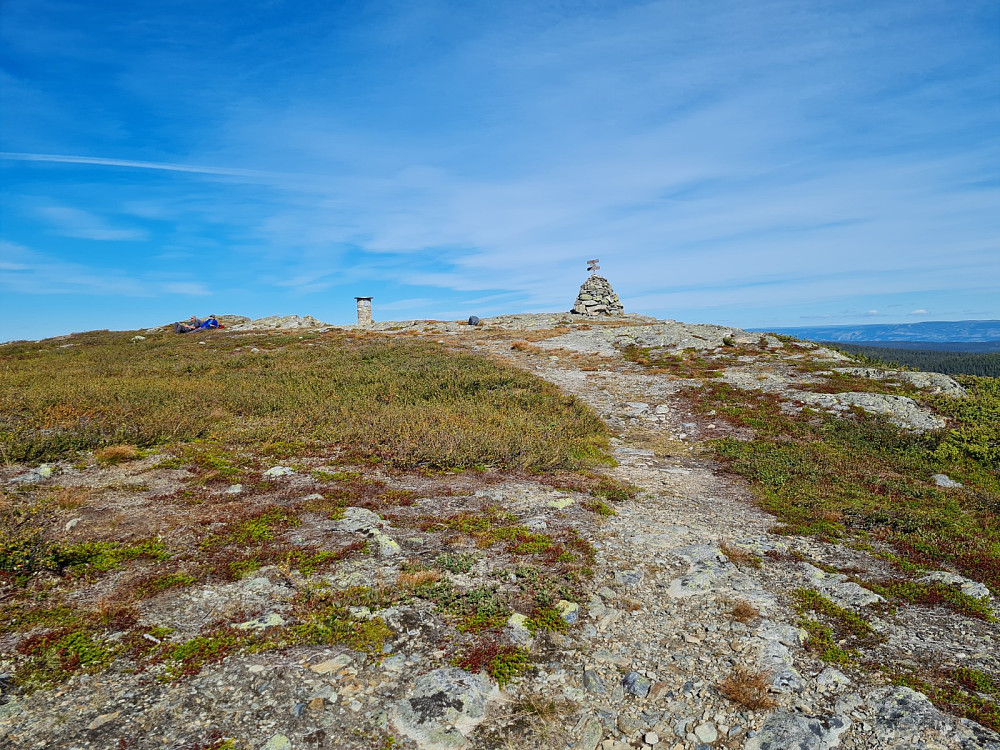 Prestkjerringa