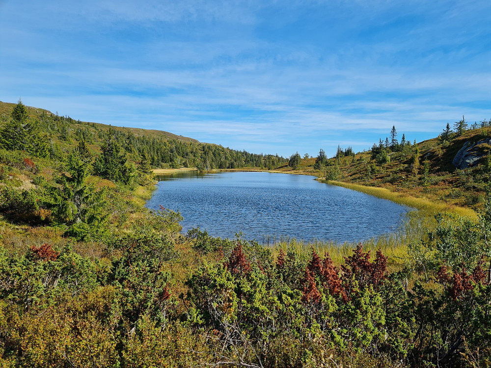Endrelitjønnet