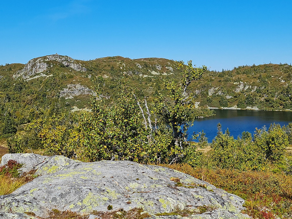 På Gaustumseterhøgda, mot Kjettberget