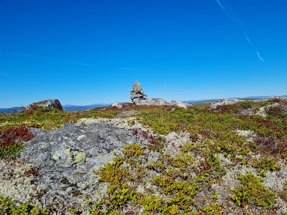 Blesterråkvarden
