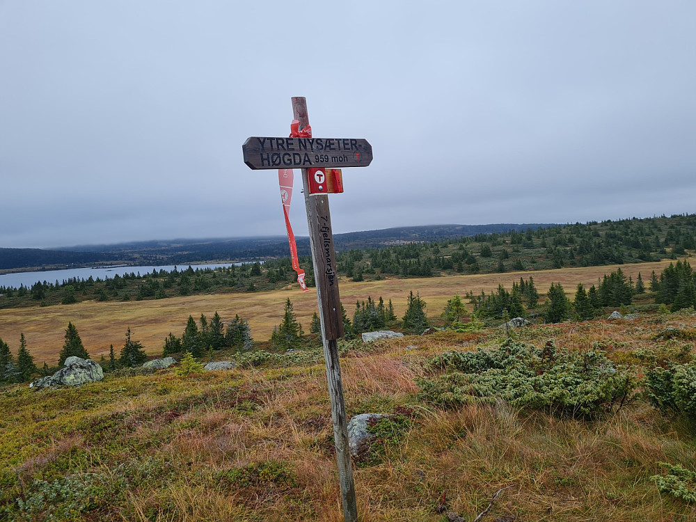 Ytre Nysæterhøgda