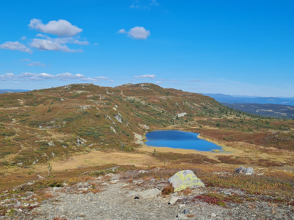 Rævskorotjernet og Skjelbreidsfjellet