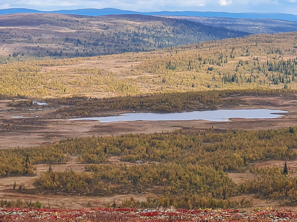 Druktjønnet, sett fra Nordre Suluhø%