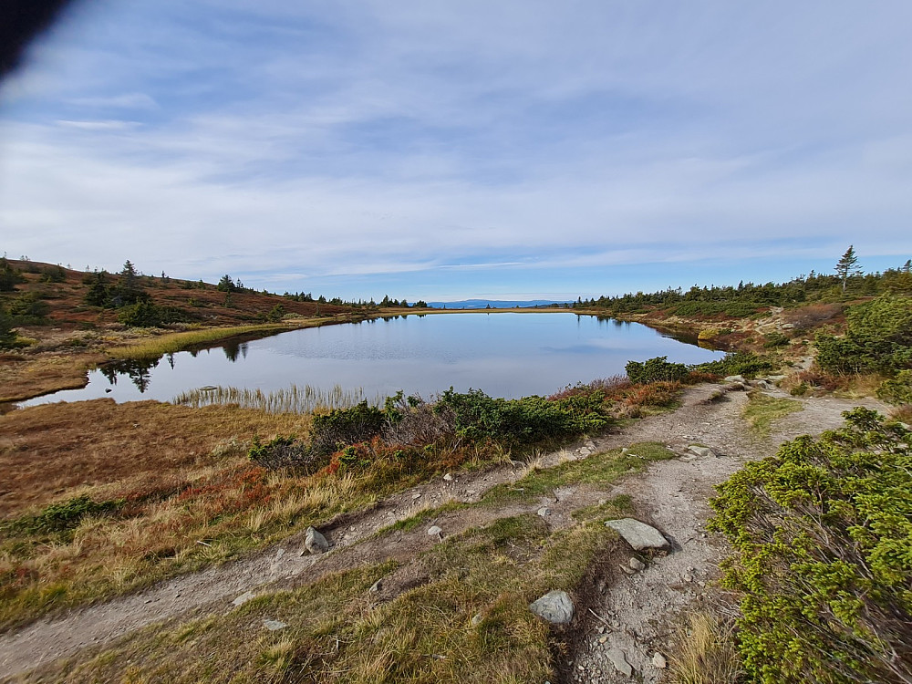 Gulrandtjernet