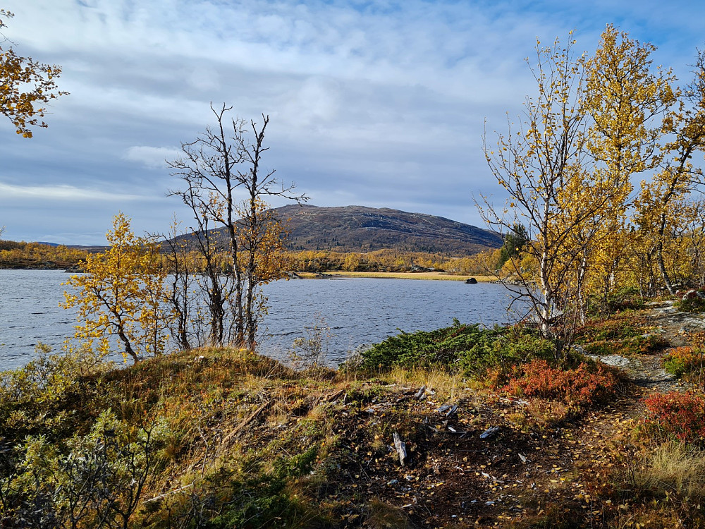 Ongsjøfjellet, sett fra Dambua