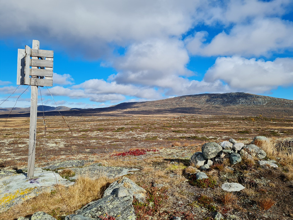 På Skomakeråsen, mot Ongsjøfjellet