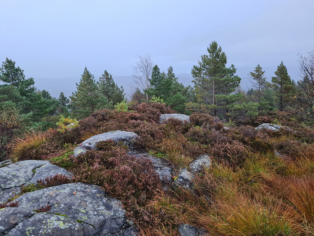 På Midtfjellet