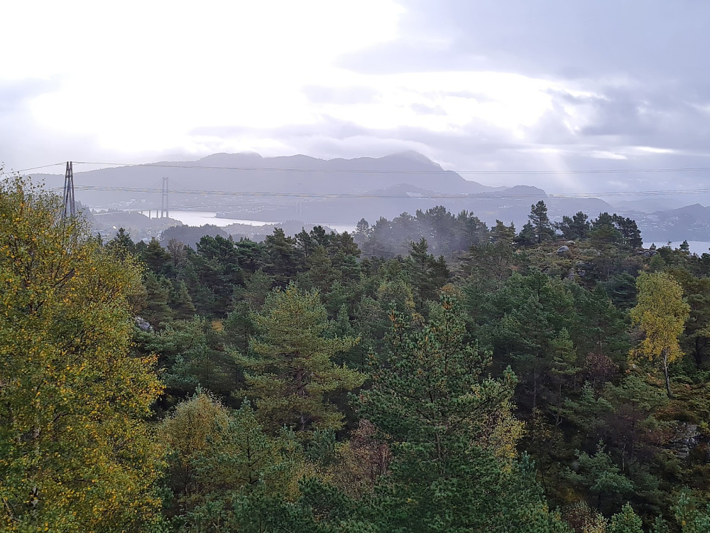 På Brenneklubben