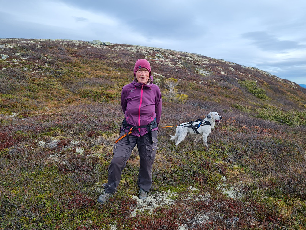 Traff Anne Grete ved Hindalsfjellet