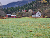 repelo_20221014_63493aa8e158f.jpg