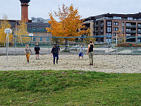 repelo_20221017_634d513711e73.jpg