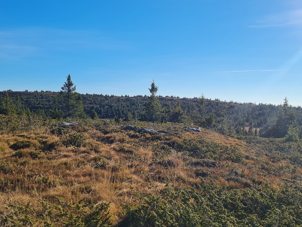 På Ytre Nysærethøgda