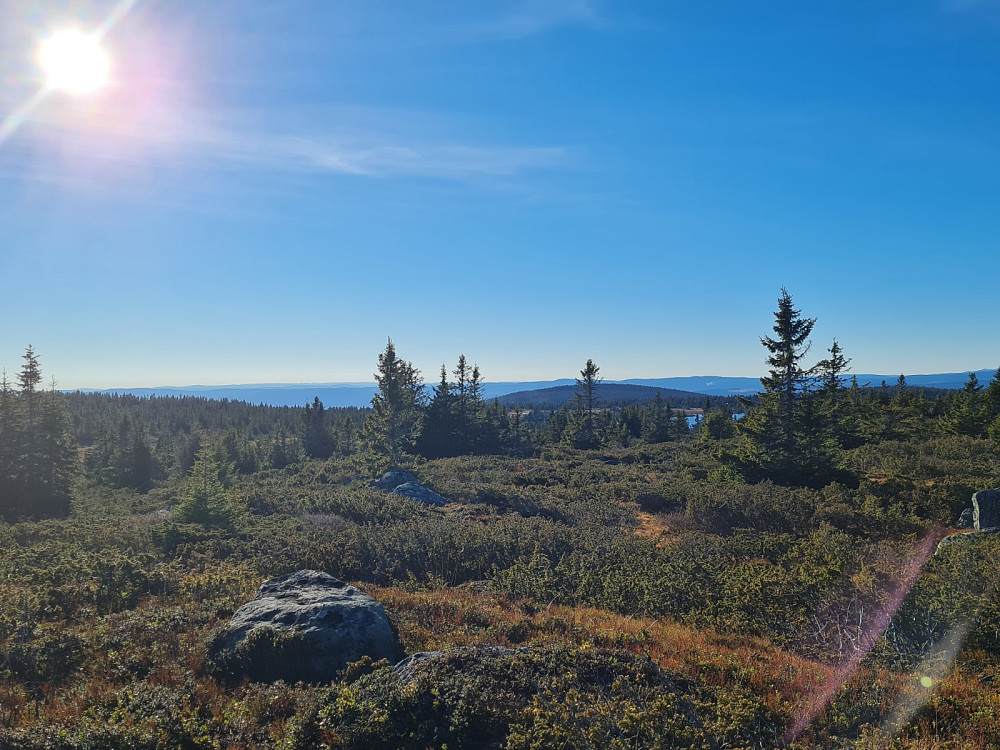 På Ytre Nysæterhøgda