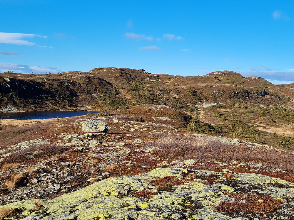 På Rævskorotjønnhaugen, motRævskorotjønnet og Skjelbreidsfjellet