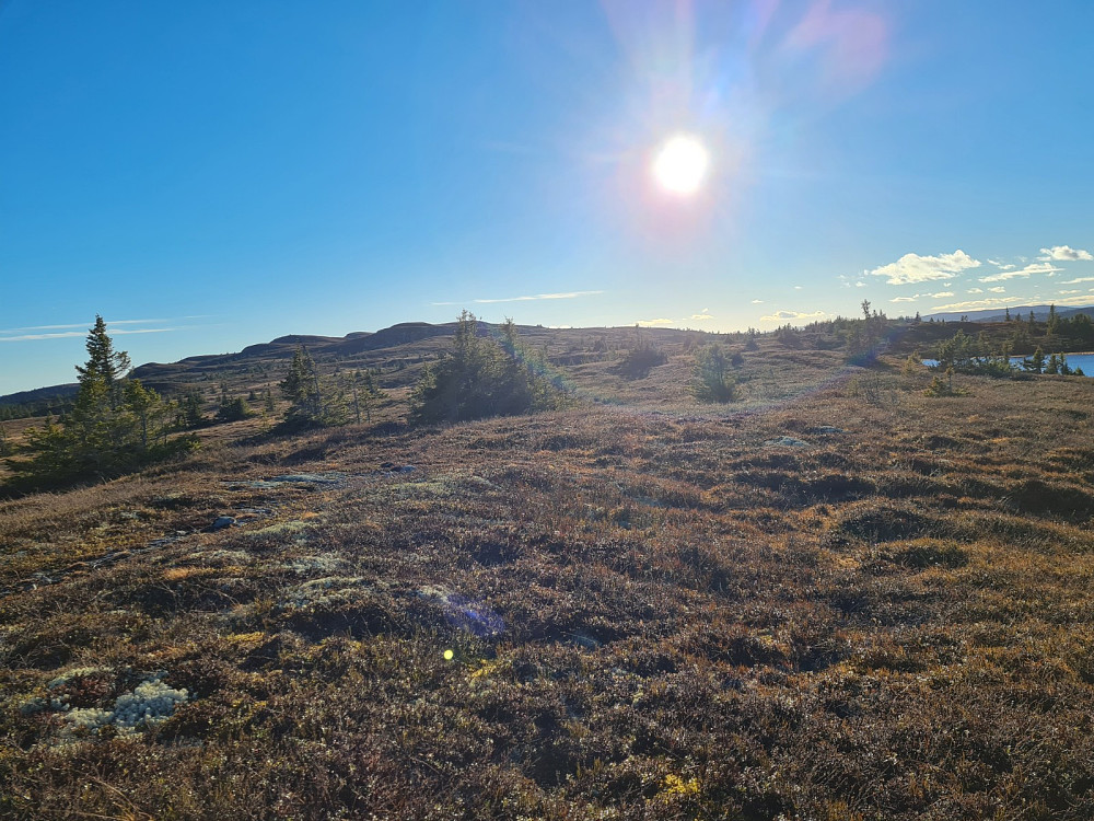 På Condruphaugen