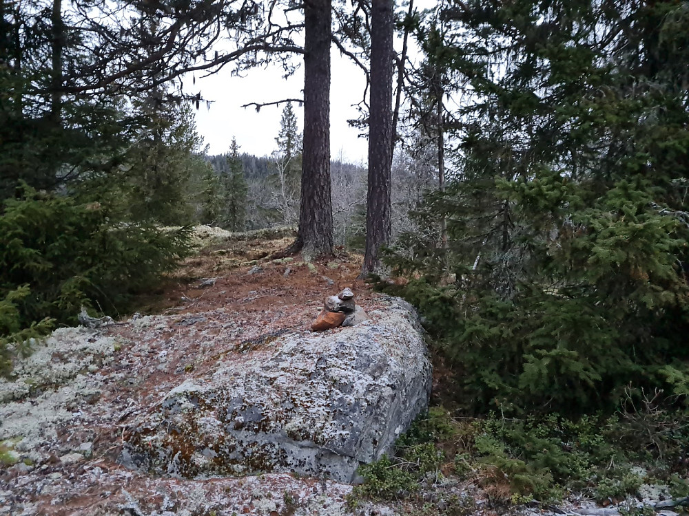 Evenvoldkollane toppunkt