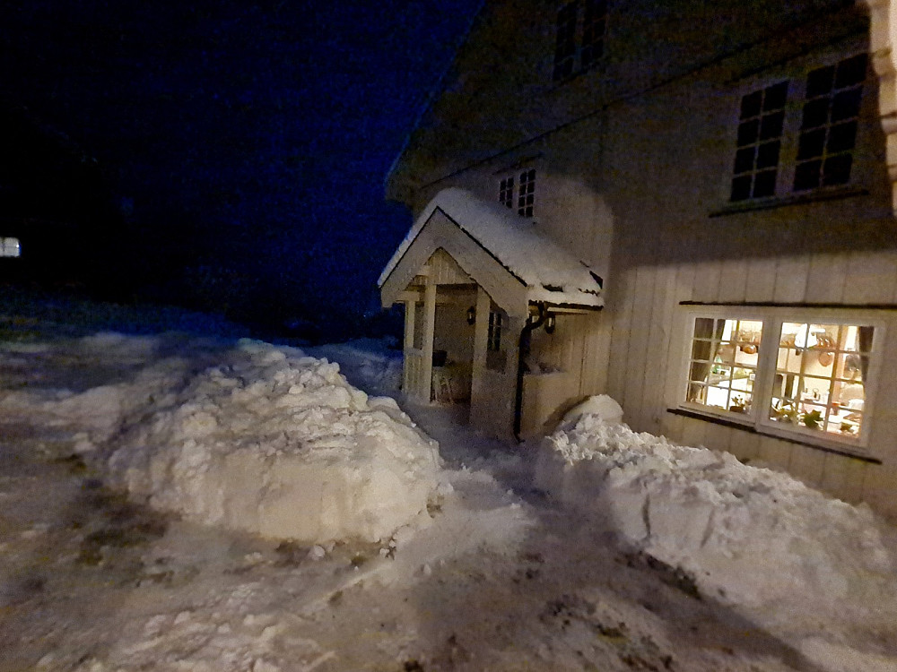 Nygaard