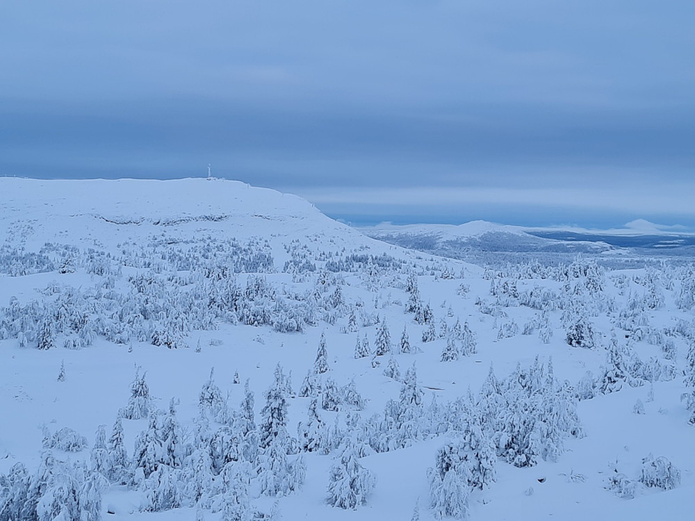 Utsikt fra Kyrakampen