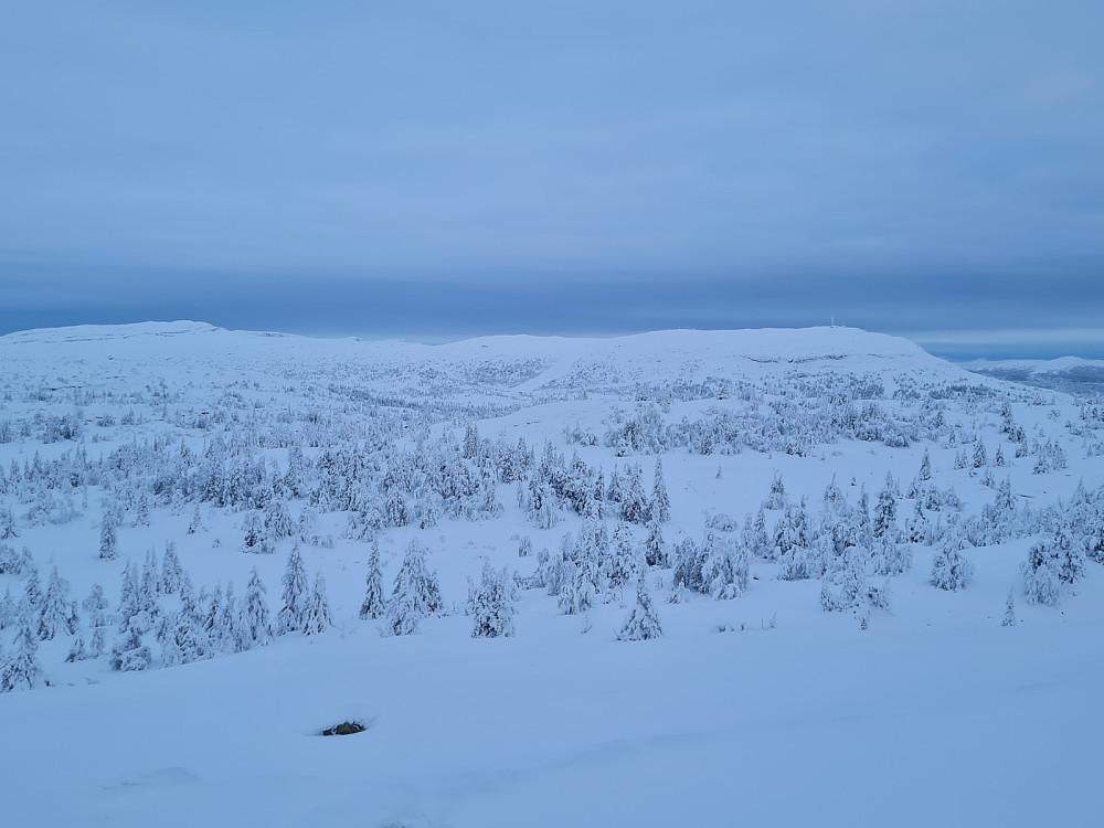 Utsikt fra Kyrakampen