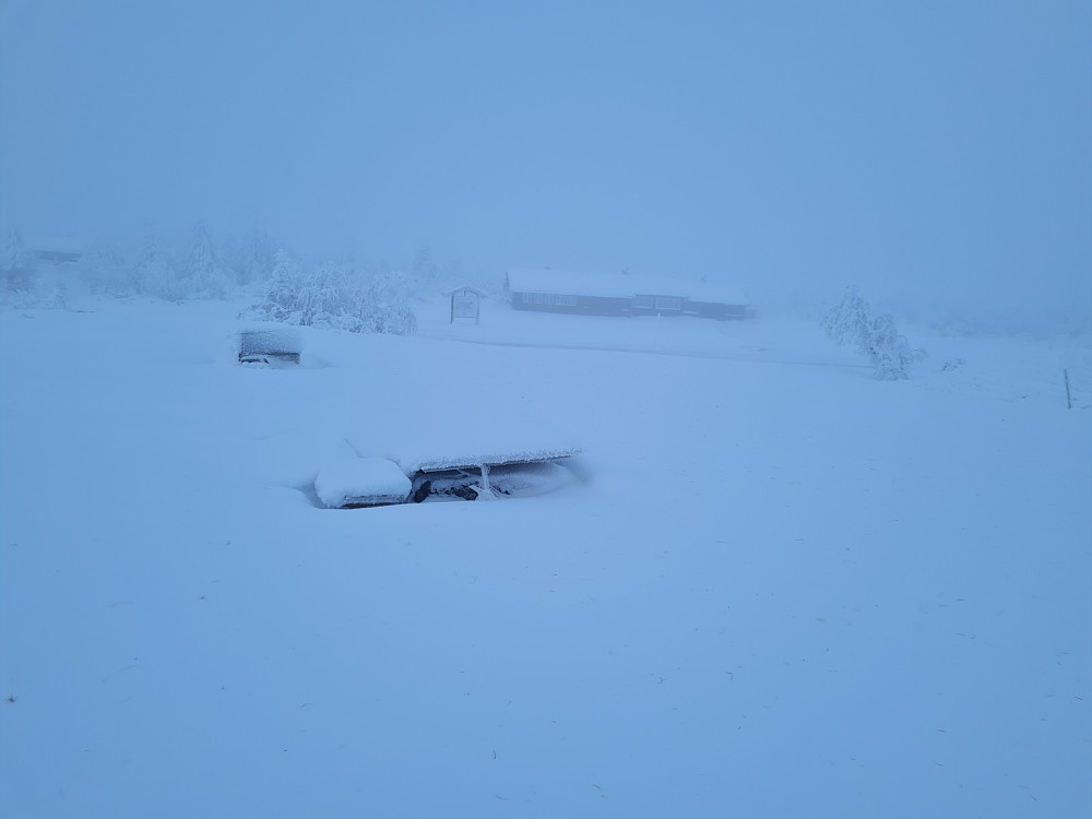 Værskei