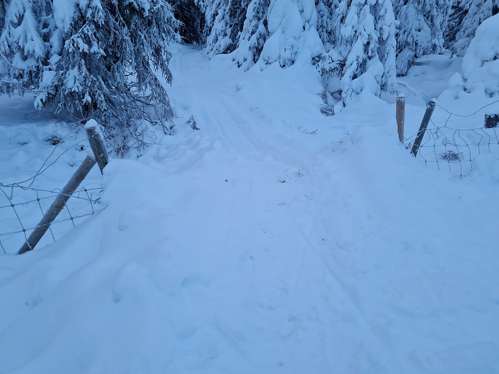 Hundekjørere med vandalisme på Storsetergjerdet