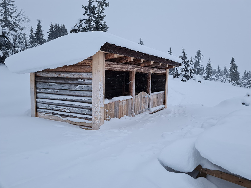 Gapahuken på Værskei