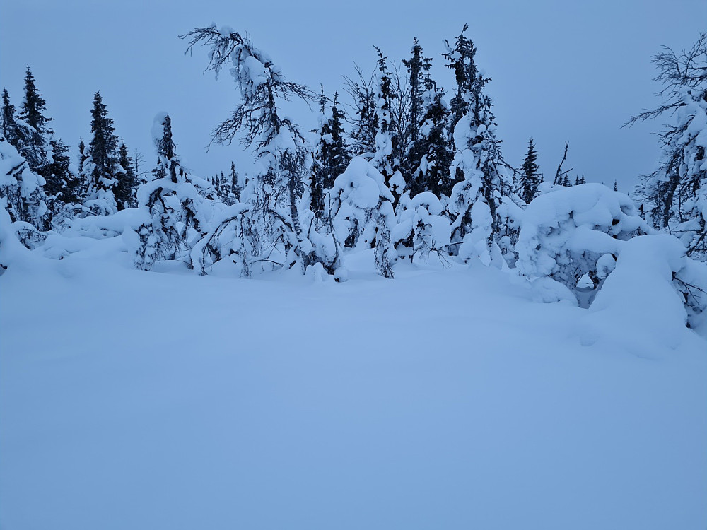 Værskeitoppen