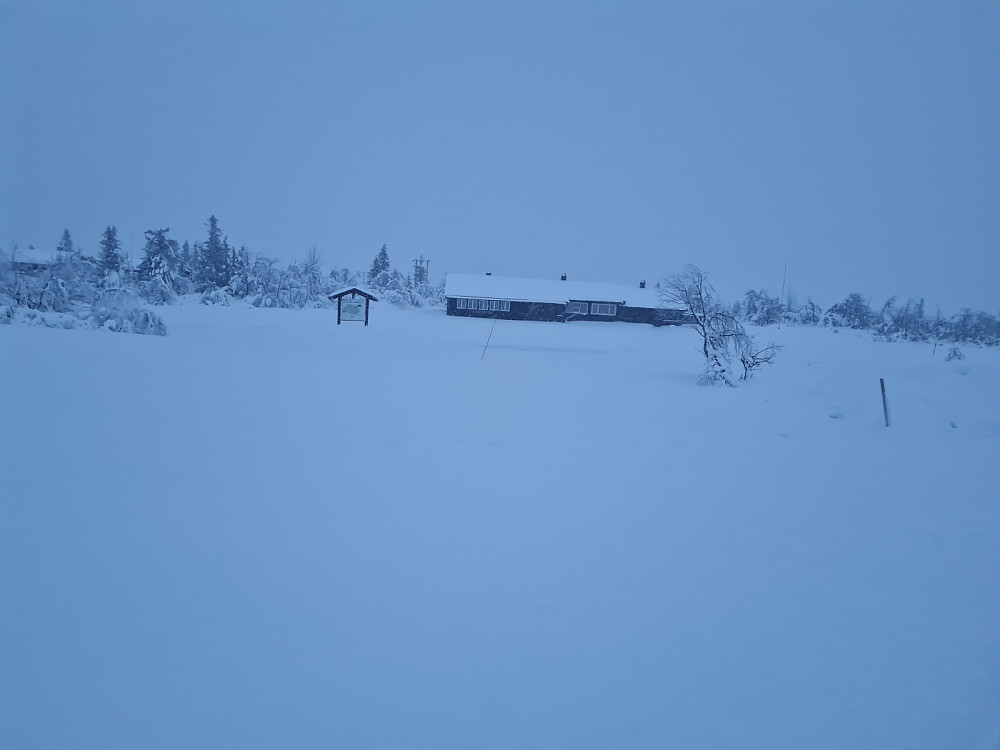 Værskei