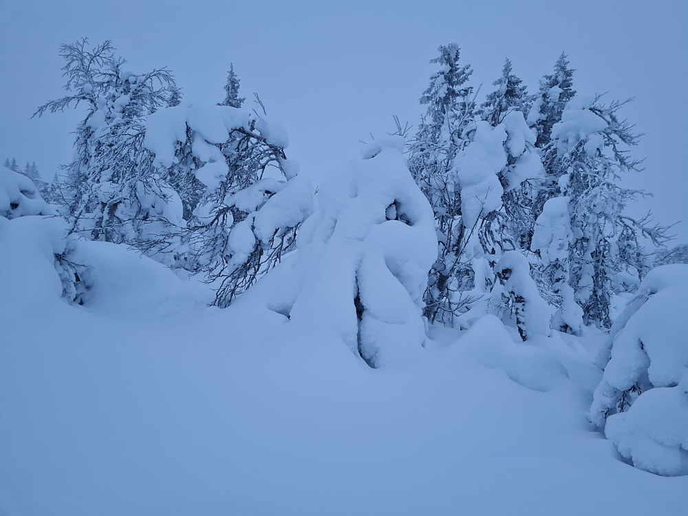 Værskeitoppen